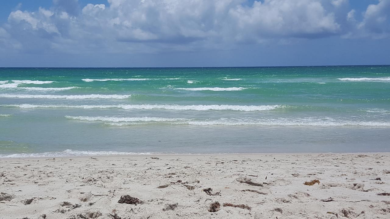 2 Bedroom 2 Bath Beachfront Condo On Miami Beach Millionaire Row المظهر الخارجي الصورة